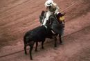 Bull Fight, Madrid